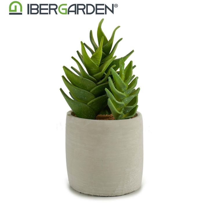 Cactus Plástico Echeveria 25 cm - Ibergarden (6 Unidades) 1 Cactus Plástico Echeveria 25 cm - Ibergarden (6 Unidades) 1