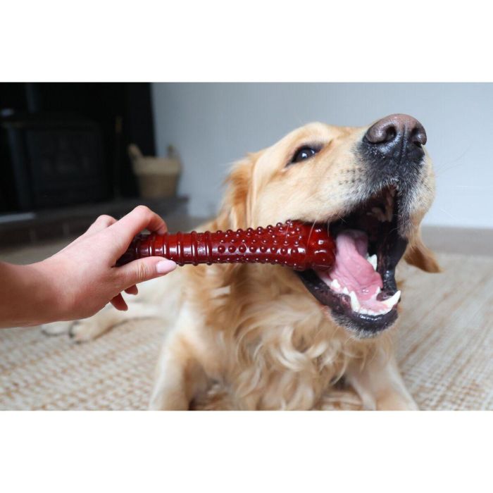 Hueso Nylabone Marrón Bacon XL 2 Hueso Nylabone Marrón Bacon XL 2