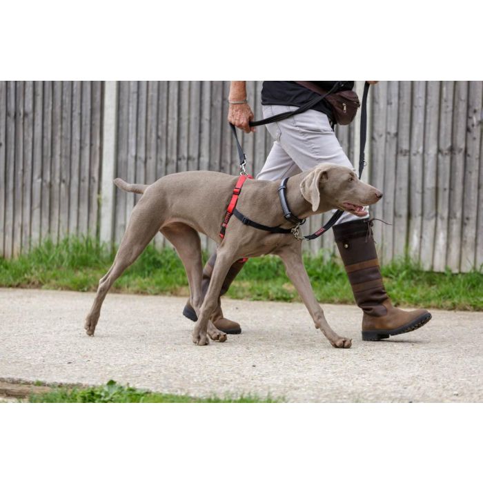 Halti Arnés de Control Delantero, ideal para Perros Medianos y Grandes, Talla L (cintura 80-120cm), Negro-Rojo 5