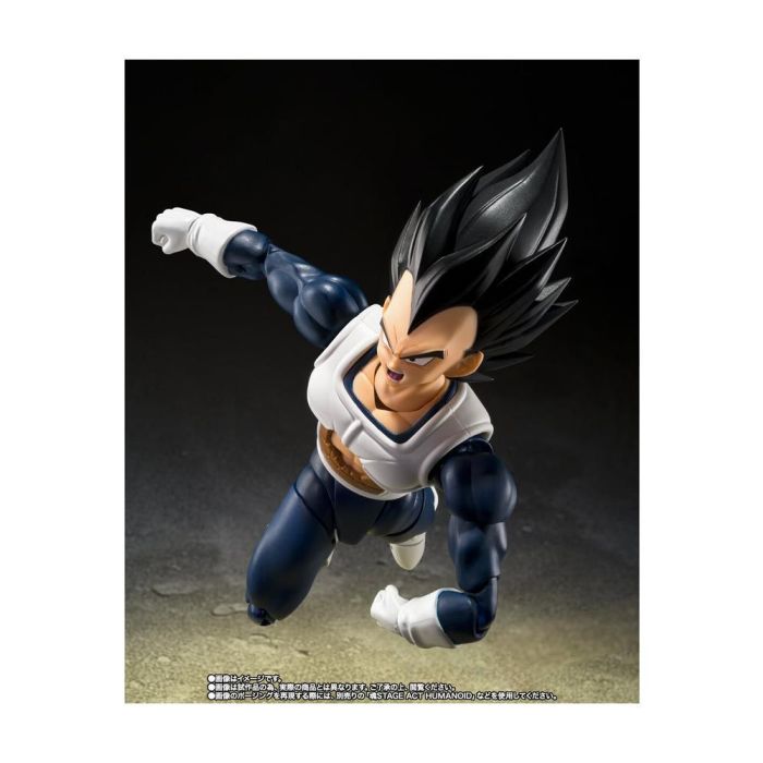Vegeta - Old Battle Clothes - Fig. 14 1 Vegeta - Old Battle Clothes - Fig. 14 1