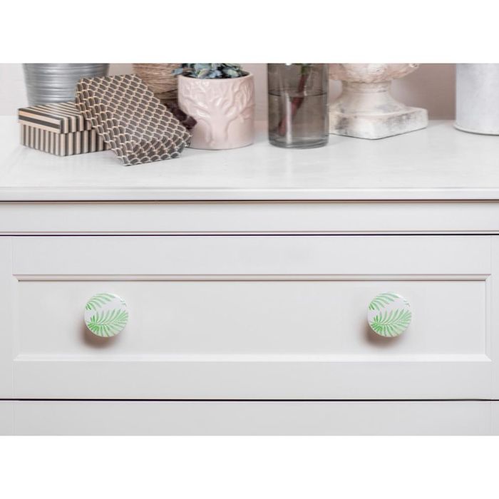 Rei e295 Blister con 2 Pomos Redondos para Mueble en Madera Haya Acabado Verde Ø38mm 2