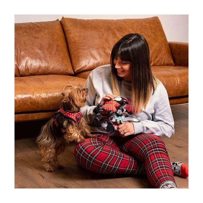 Cerdá Cuerda Dental para Perro Minnie, Juguete de Masticar, Higiene Bucal, Color Rojo, 13.0 x 25.0 x 6.0 cm 2