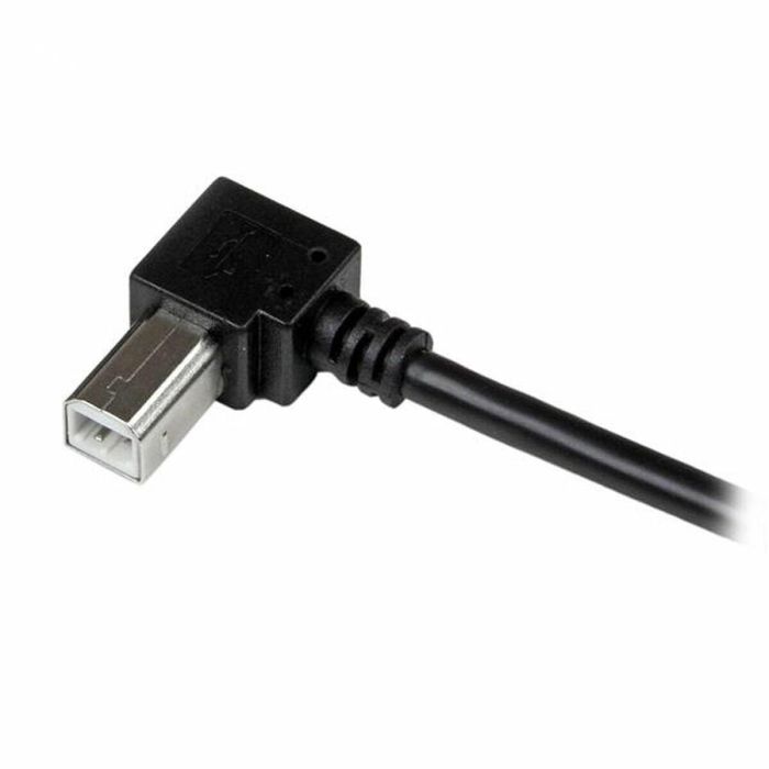 Cable USB A a USB B Startech USBAB1MR Negro 1