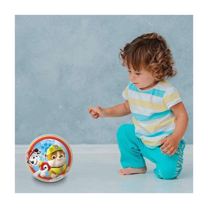 Pelota bioball paw patrol 140mm - modelos surtidos 7 Pelota bioball paw patrol 140mm - modelos surtidos 7