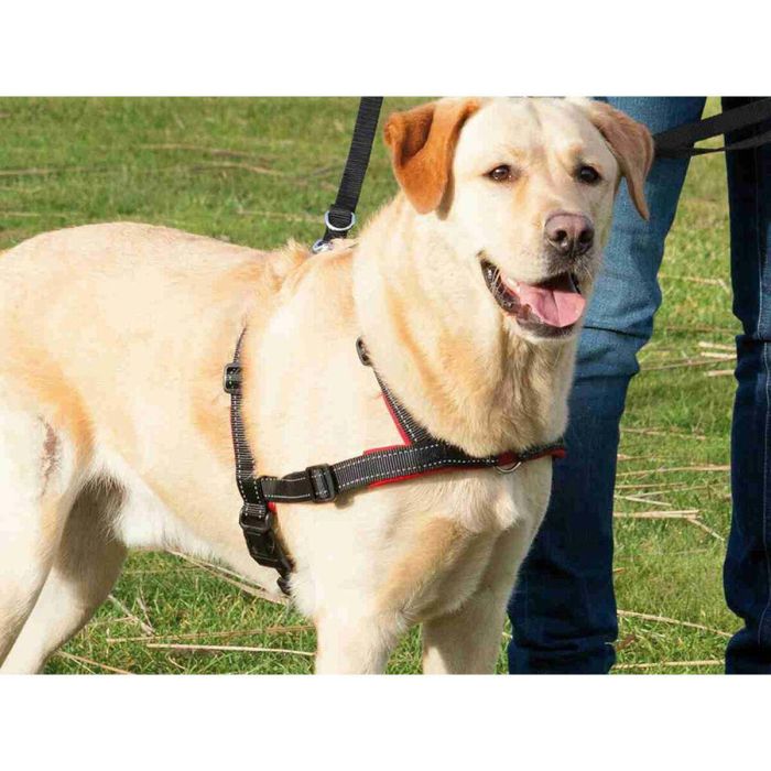 Arnés para Perro Trixie 4 Arnés para Perro Trixie 4