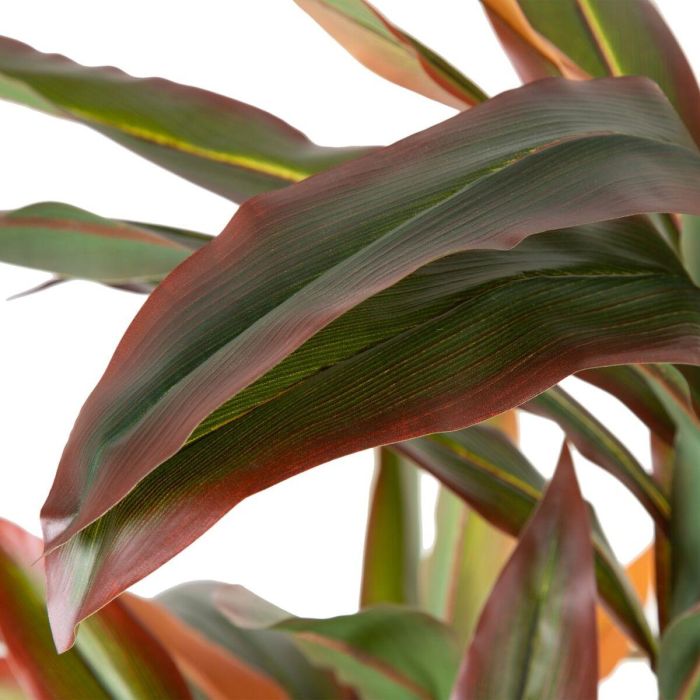 Planta Decorativa Dracaena Marrón Verde PVC 140 cm 1