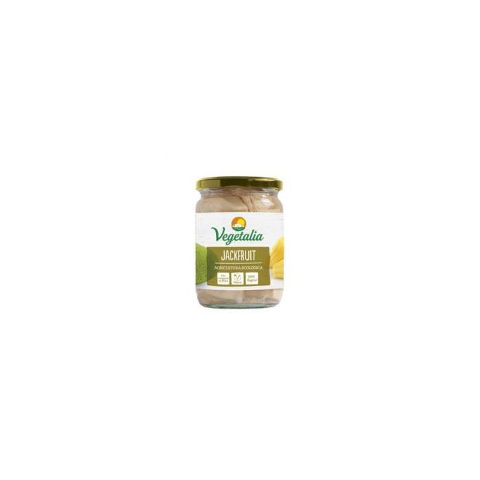 Jackfruit 500Gr. Bio