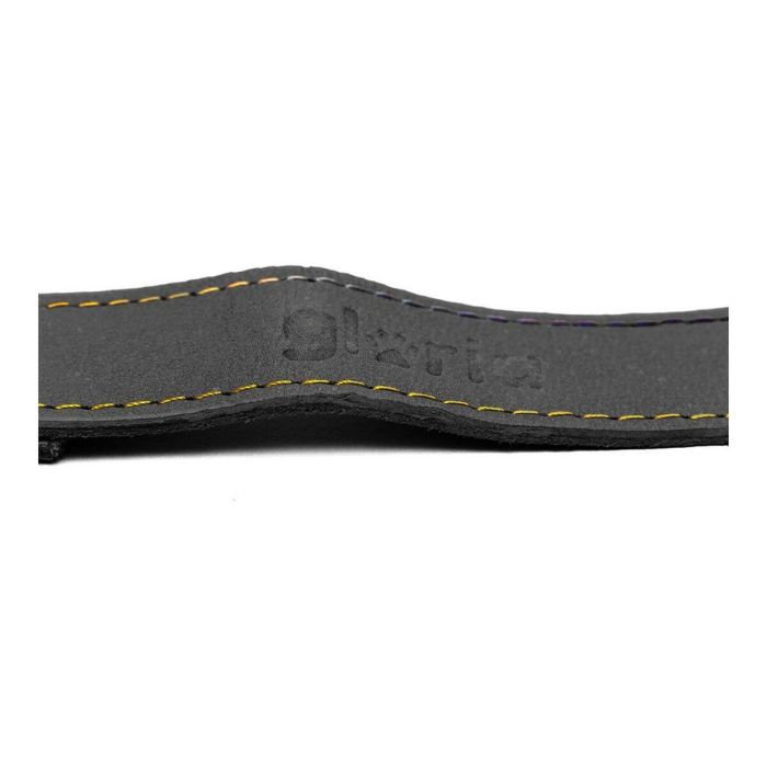Gloria Correa Oasis para Perro de Cuero Reforzado y Robusto con Mosquetón Seguro para Paseos Largos 100 cm x 15 mm Negro 4