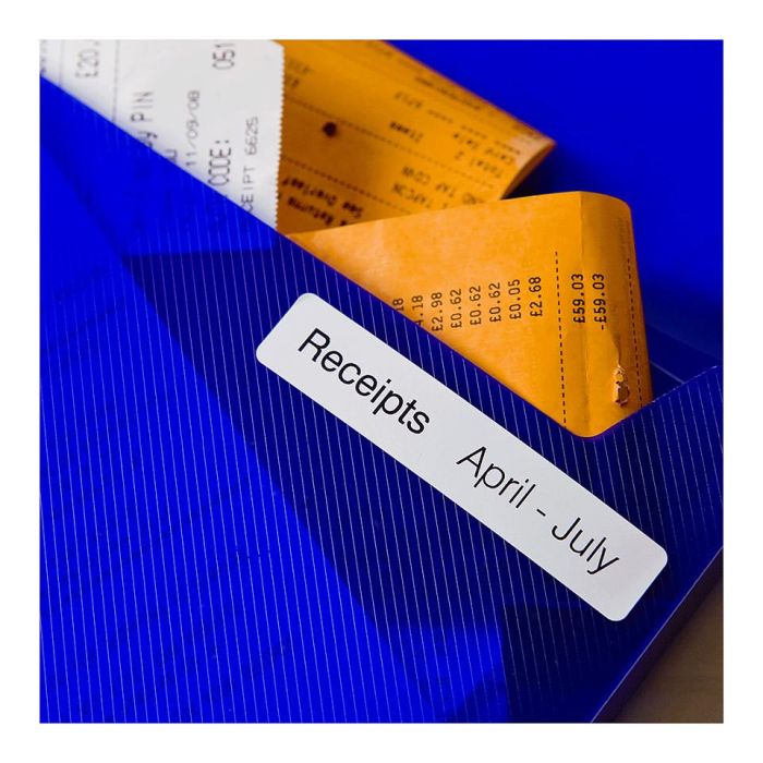 Brother Etiquetas Precortadas para Carpetas 17x87 mm 300 Etiquetas