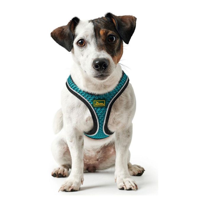 Hunter Arnés Hilo Comfort M Turquesa Cuello 55-60cm Pecho 58-65cm Malla 3D Ligero Transpirable Reflectante para Perro 5 Hunter Arnés Hilo Comfort M Turquesa Cuello 55-60cm Pecho 58-65cm Malla 3D Ligero Transpirable Reflectante para Perro 5