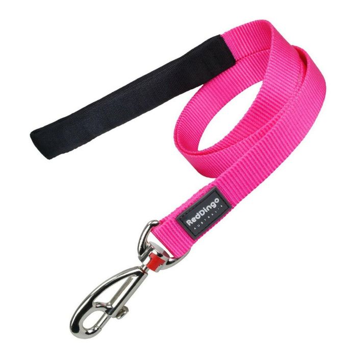 Red Dingo Correa para Perro Lisa Fuxia de Nylon 20mm x 1.2m Ultra Resistente con Clip Intercambiable