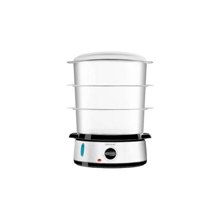 Vaporera Cecotec Vapovita 3000 Gris Acero Inoxidable 800 W Vaporera Cecotec Vapovita 3000 Gris Acero Inoxidable 800 W