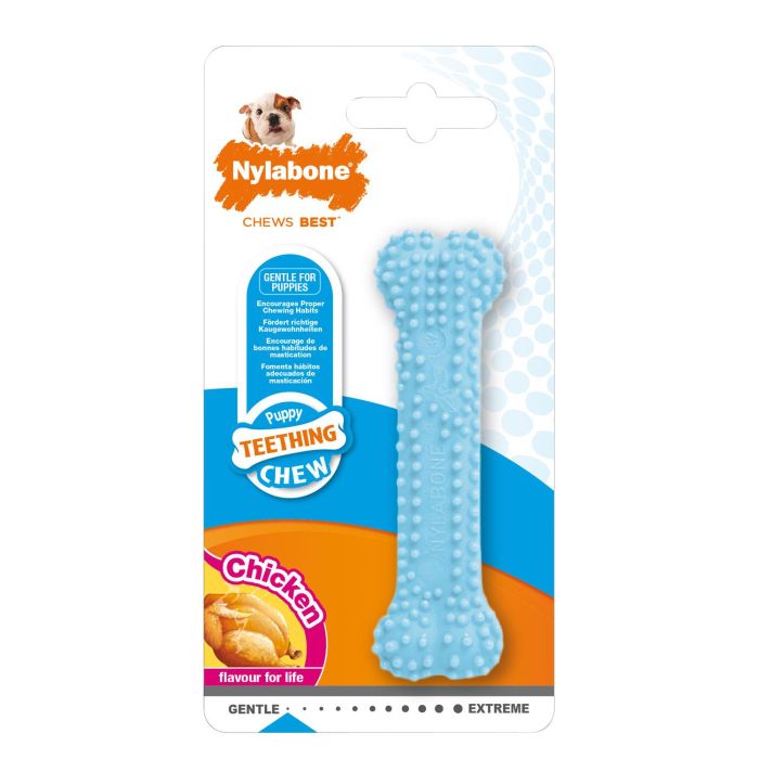 Nylabone Hueso Dental Suave para Cachorros XS (hasta 7kg) Azul Sabor Pollo - Ayuda a Limpiar Dientes, No para Masticadores Fuertes 2 Nylabone Hueso Dental Suave para Cachorros XS (hasta 7kg) Azul Sabor Pollo - Ayuda a Limpiar Dientes, No para Masticadores Fuertes 2