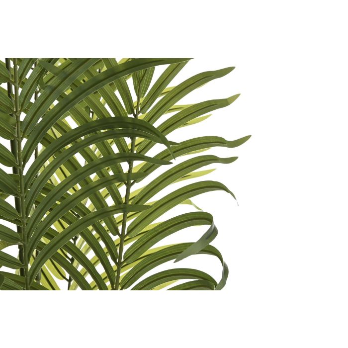 Planta Decorativa DKD Home Decor Palmera (100 x 100 x 240 cm) Planta Decorativa DKD Home Decor Palmera (100 x 100 x 240 cm)