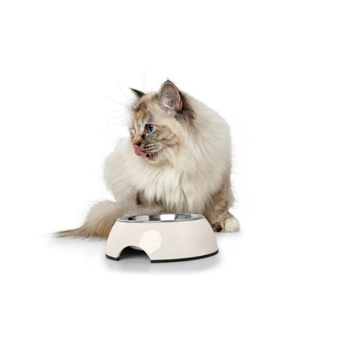 Hunter Comedero de Melamina con Cuenco Extraíble de Acero Inoxidable 350 mL Blanco Antideslizante y Resistente Fácil Limpieza 8