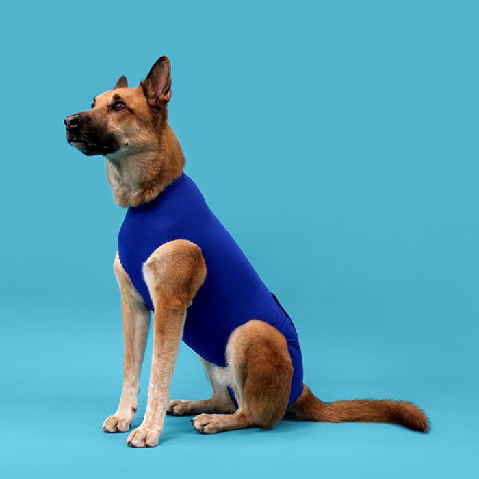 KVP Camiseta Recova L 45-53 cm para Reducir Ansiedad por Separación y Post-Cirugía 1