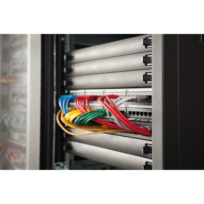 Digitus Panel Vacío 1U para Armario de Red/Servidor, Snap-In, ABS Sintéticos, Negro 3