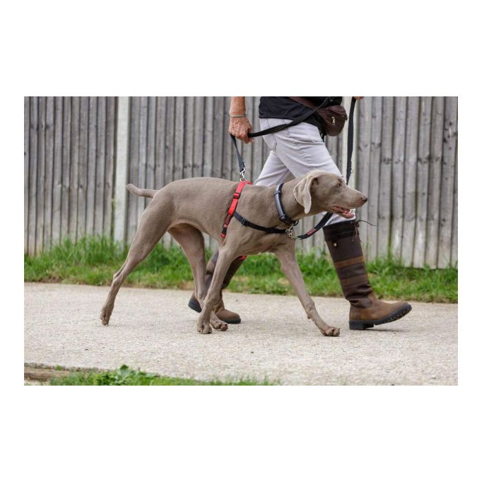 Halti Arnés de Control Delantero, ideal para Perros Medianos y Grandes, Talla L (cintura 80-120cm), Negro-Rojo 9