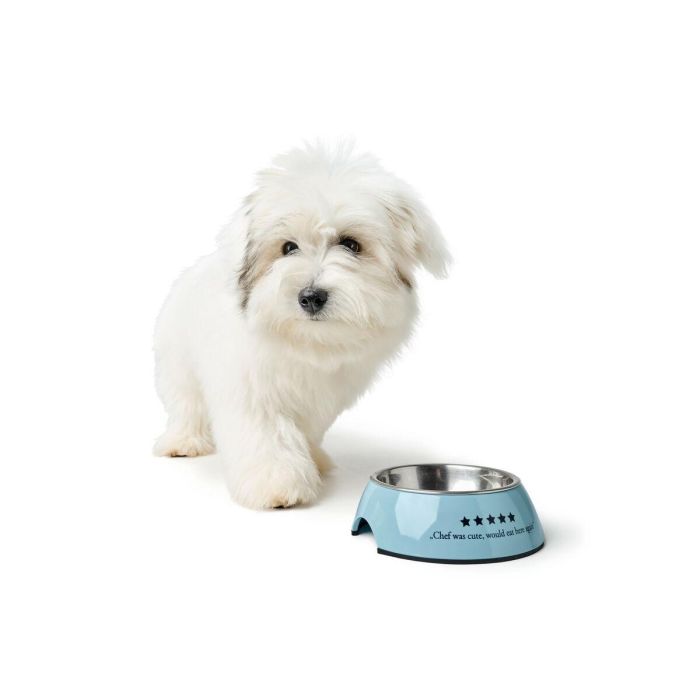 Comedero para Perro Hunter Mayfair Azul 350 ml 2