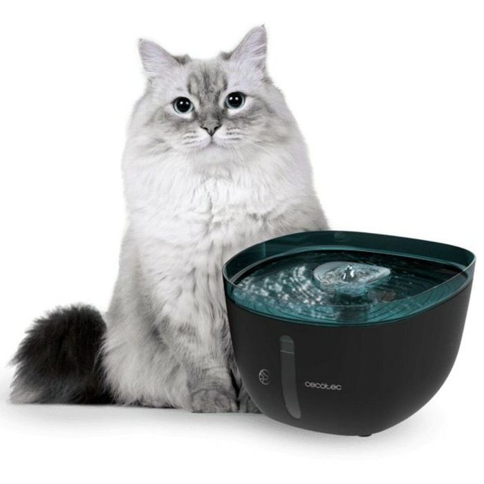 Fuente para Mascotas Cecotec Negro Negro/Azul Plástico