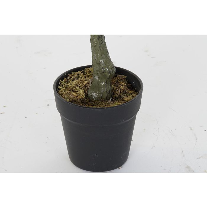 Planta Urban DKD Home Decor Verde 50 x 85 x 50 cm (2 Unidades) 2 Planta Urban DKD Home Decor Verde 50 x 85 x 50 cm (2 Unidades) 2