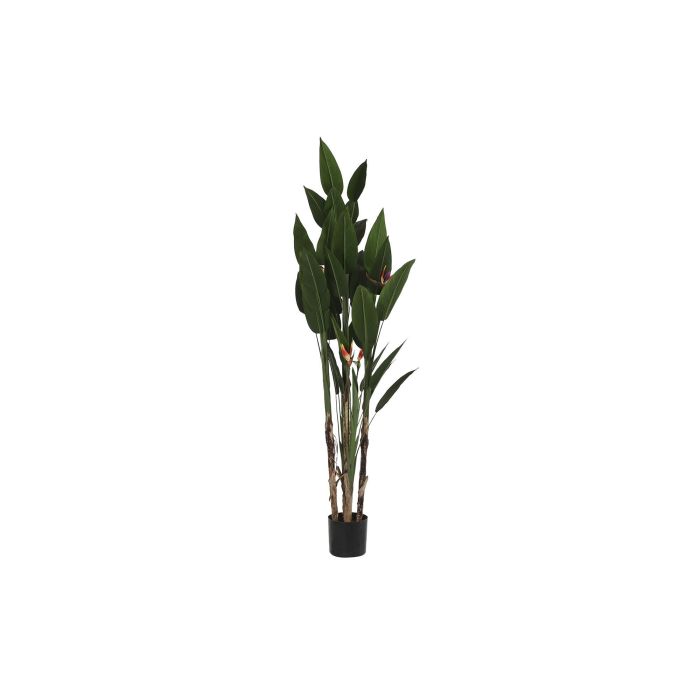 Planta Decorativa DKD Home Decor (90 x 90 x 200 cm)