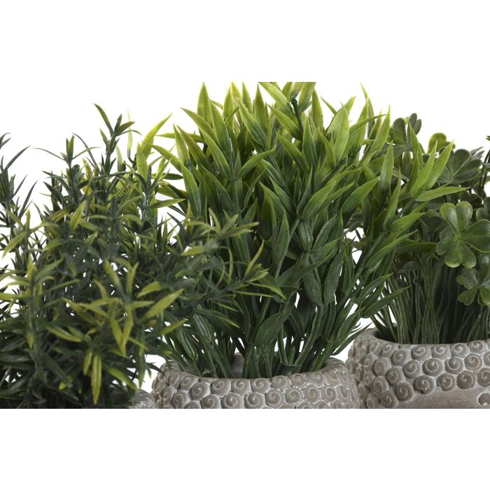 Planta DKD Home Decor Gris Verde 10 x 21 x 10 cm (12 Unidades) 2