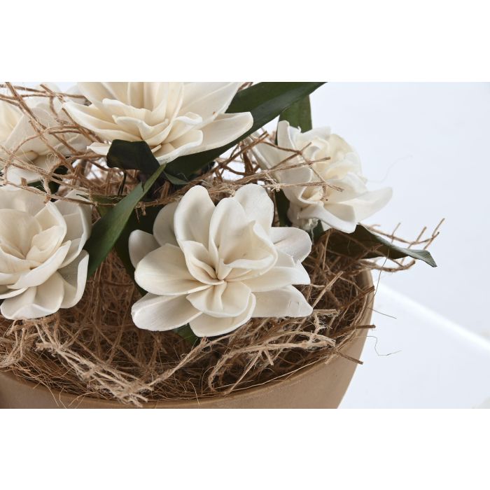 Planta Decorativa Home ESPRIT Flor 22 x 22 x 14 cm (2 Unidades) 3