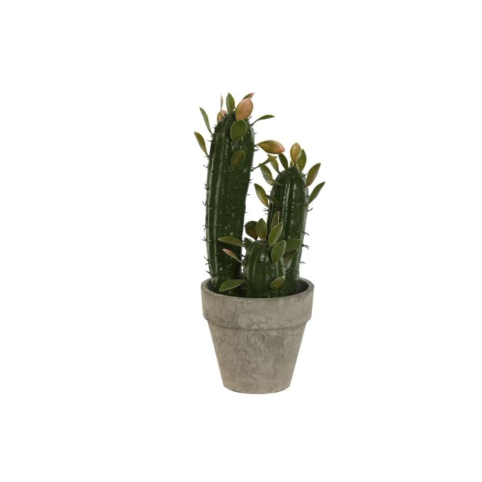 Planta Tropical DKD Home Decor Verde 12 x 28 x 10 cm (6 Unidades)