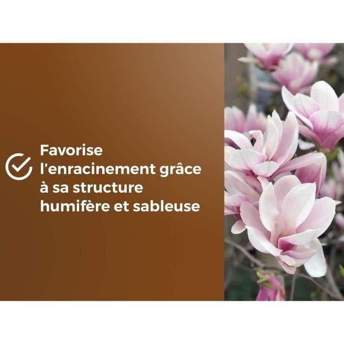 Tierra especial para macetas de brezo - OR BRUN - OBRTBRU6U - 6L - Mejor enraizamiento 4 Tierra especial para macetas de brezo - OR BRUN - OBRTBRU6U - 6L - Mejor enraizamiento 4