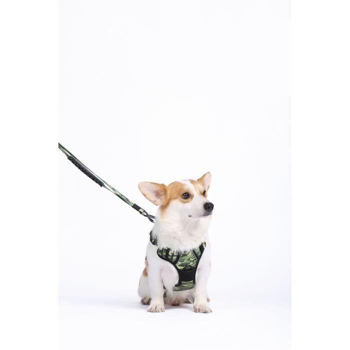 Arnés - M MASCOTAS - SENDERISMO - Camuflaje M - Tejido acolchado - Clip de seguridad - Asa - Correa trasera/delantera 5 Arnés - M MASCOTAS - SENDERISMO - Camuflaje M - Tejido acolchado - Clip de seguridad - Asa - Correa trasera/delantera 5