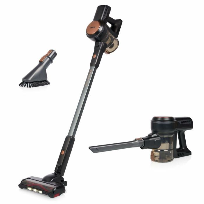 Aspirador Escoba Princess 339390 220 W 2
