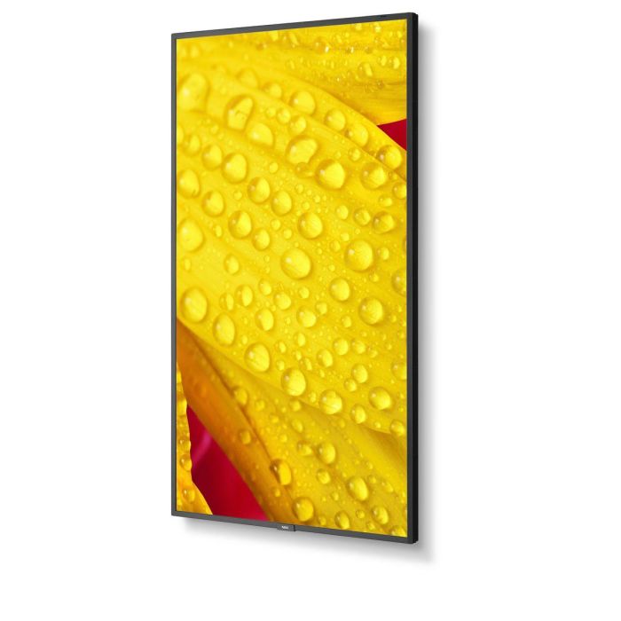 Monitor NEC 60006086 4K Ultra HD 65" 3