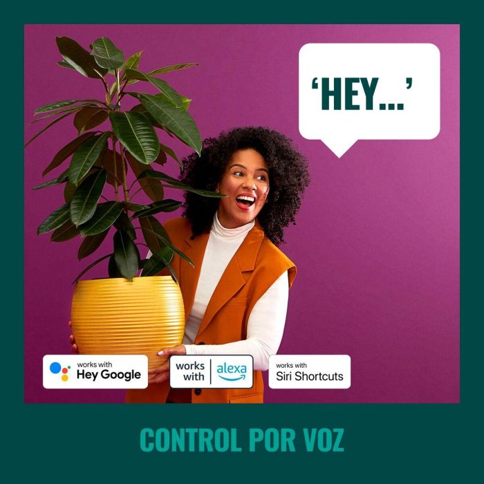 Wiz WIZ8719514554450 Guirnalda 15m para Exterior Conectada 5