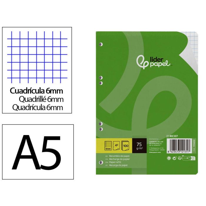 Recambio Liderpapel Din A5 100 Hojas 75 gr Cuadro 6 mm Con Margen 6 Taladros