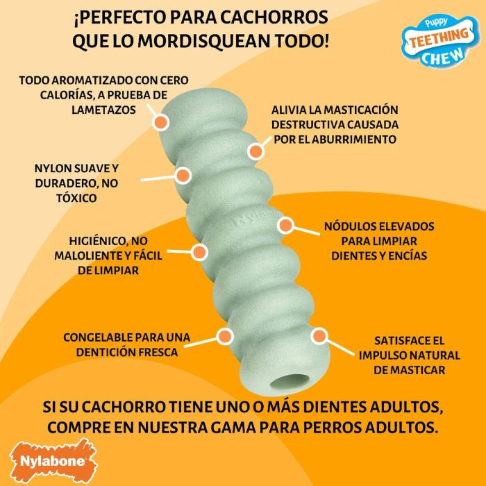 Mordedor de perro Nylabone SENSORY TACTILE STICK Verde Manteca de cacahuete Bacon S 4 Mordedor de perro Nylabone SENSORY TACTILE STICK Verde Manteca de cacahuete Bacon S 4