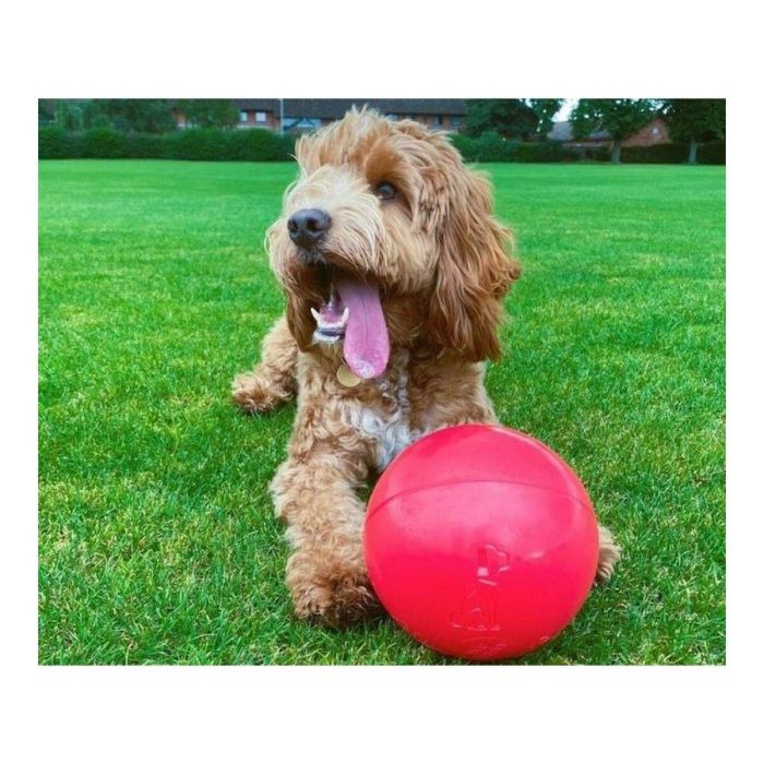 Company Of Animals Boomer Ball 20 cm - Pelota de Polietileno Súper Resistente para Perros Destructores, Juego y Ejercicio 2