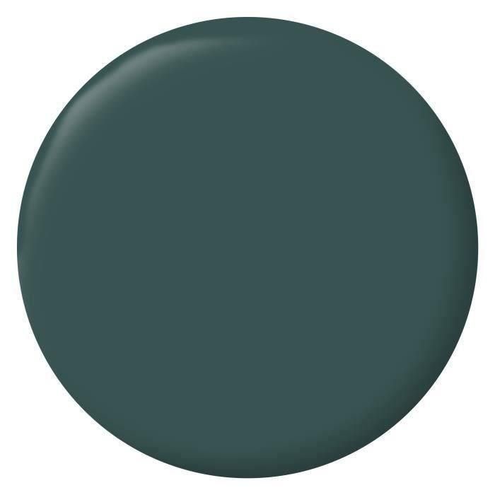 RIPOLIN Pintura de color terciopelo para paredes, carpintería de radiadores - Verde militar 1