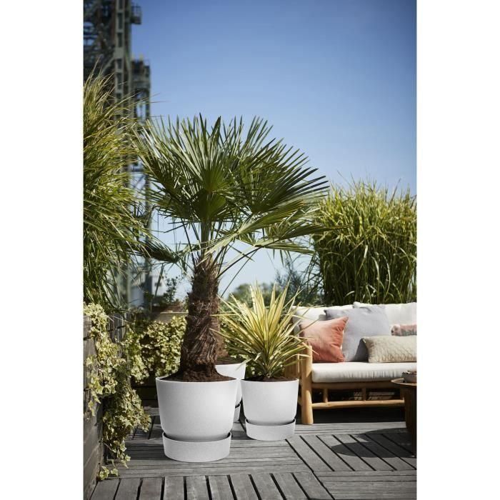 Maceta redonda ELHO Greenville 47 - Exterior - Ø 47 x H 44,1 cm - Hormigón vivo gris 5 Maceta redonda ELHO Greenville 47 - Exterior - Ø 47 x H 44,1 cm - Hormigón vivo gris 5