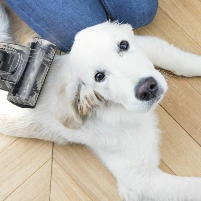 Hkoenig Aspiradora de Trineo Sin Bolsa STC58 - 850 W - 2,5 L 1