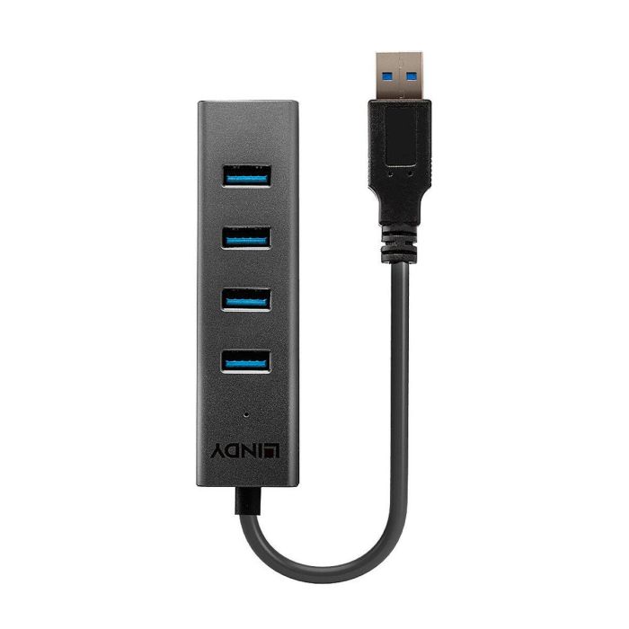 Hub USB LINDY 43324 Negro 1