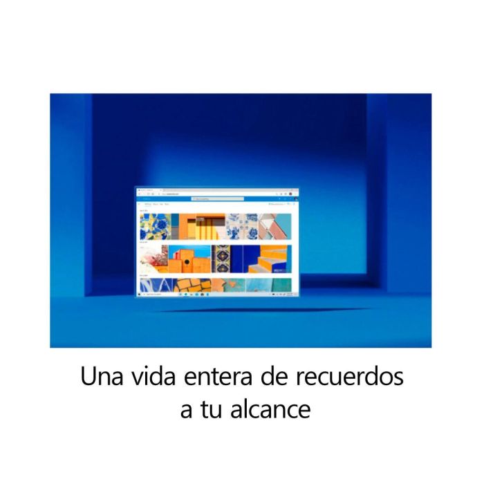 Software de Gestión Microsoft T5D-03550 3