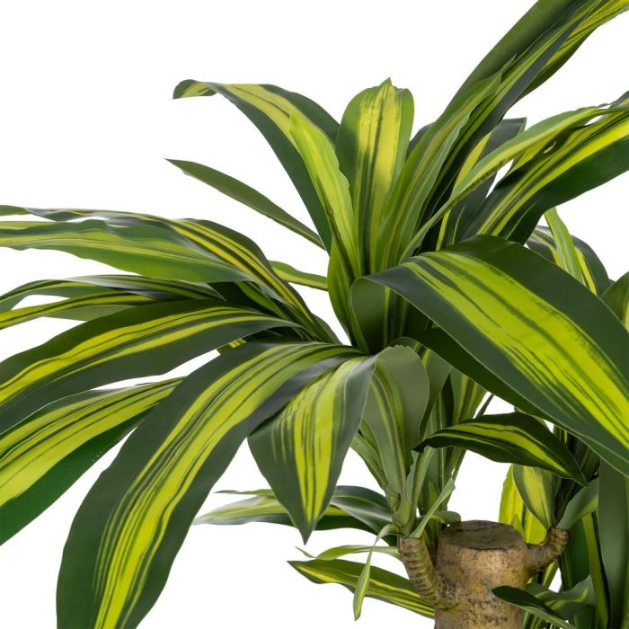 Planta Dracaena Verde Poliester 100 X 140 cm