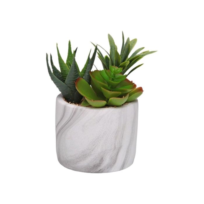 Planta Decorativa Versa Cerámica Plástico Fusion Suculenta 9 x 15 x 9 cm 1
