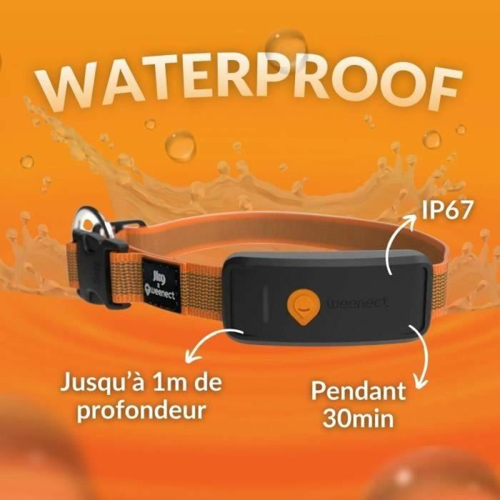 Weenect WEE3770000300789 Collar GPS para Perros Dog XT Resistente al Agua Antena XL Naranja con Suscripción Incluye Collar Julius-K9 2 Weenect WEE3770000300789 Collar GPS para Perros Dog XT Resistente al Agua Antena XL Naranja con Suscripción Incluye Collar Julius-K9 2
