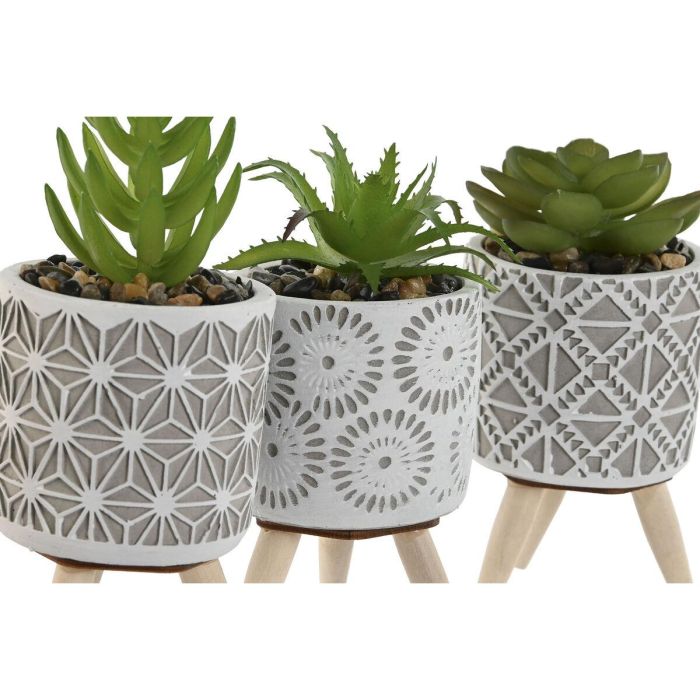 Planta DKD Home Decor Gris Verde 6.5 x 11 x 6.5 cm (3 Unidades) 2