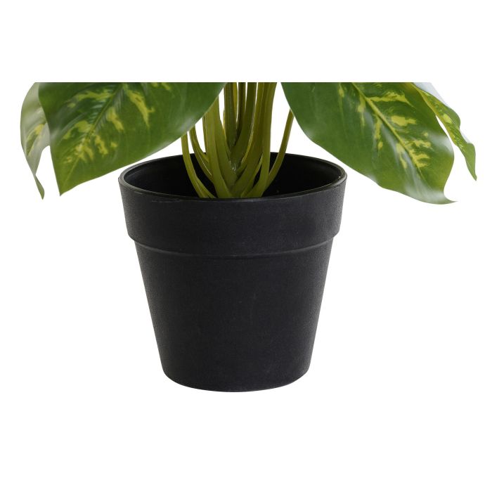 DKD Home Decor Planta Artificial Diefembaquia Decoración para Hogar u Oficina, Colores Verde y Negro, Dimensiones 20x20x30 cm, Fabricada en PVC y PP 2