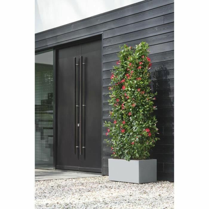 Elho Jardinera Vivo Next Long 60 Gris L 59 x B 30 x H 29 cm 100% reciclado ELH8711904499648 2
