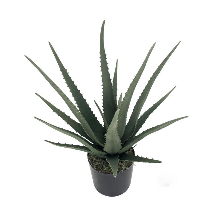 Planta Decorativa Alexandra House Living Plástico Aloe Vera 11 x 11 x 39 cm 3