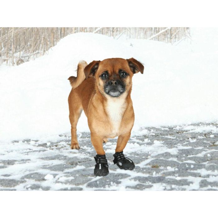 Botas Trixie Negro XS 4 Botas Trixie Negro XS 4